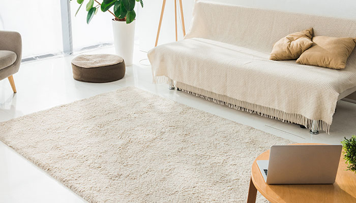 Best Carpet Cleaning