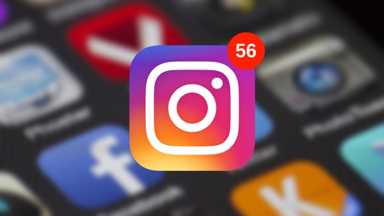 Instagram Followers