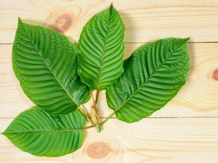 Kratom For Depression