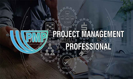 PMP Certification Training