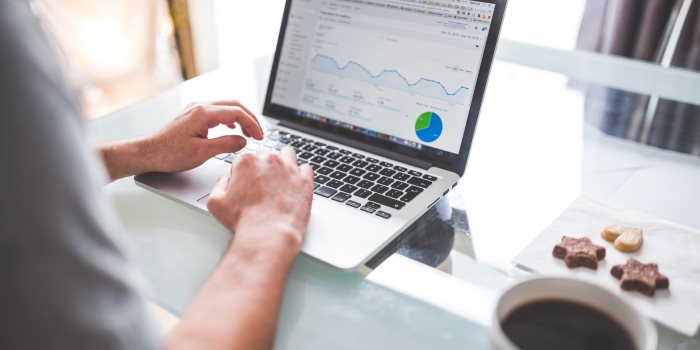 SEO Consultant