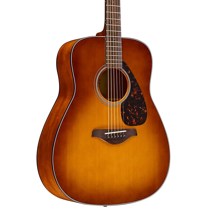 acoustic guitar