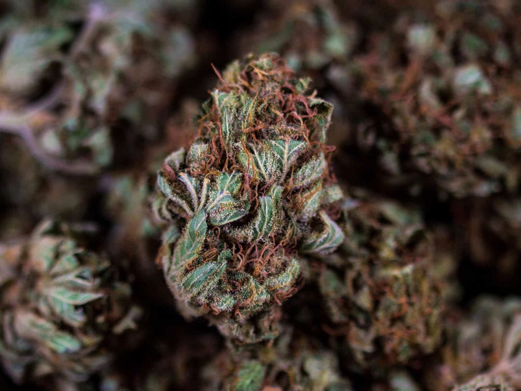 best delta 8 flower
